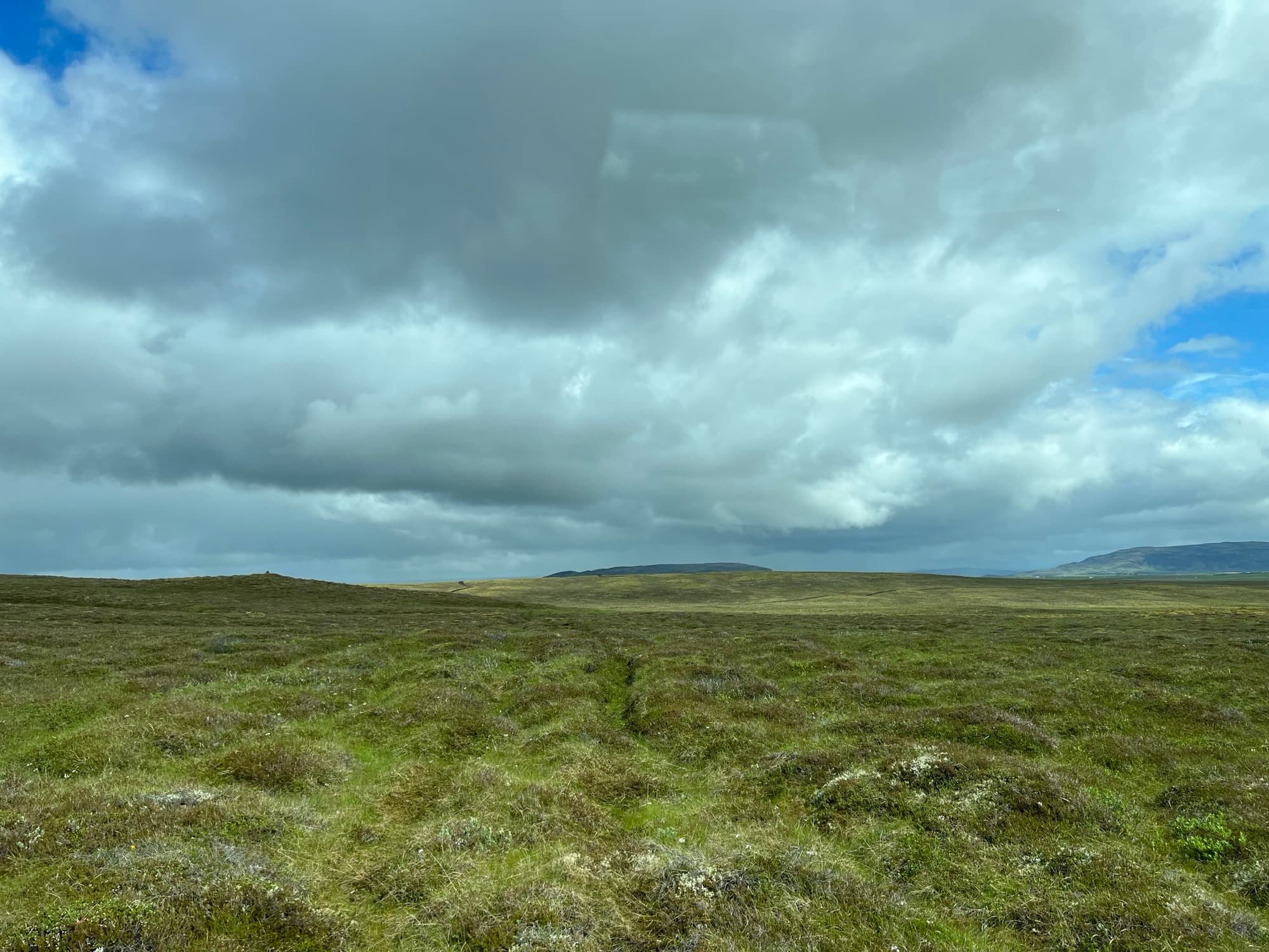 Open heathland in Grímsnes